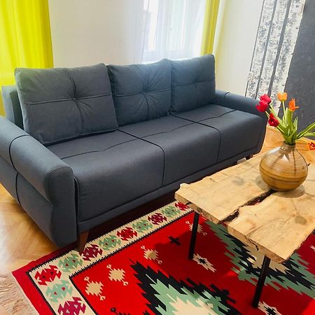 Spacious Stylish Apartment In Old Town Sibiu Eksteriør billede
