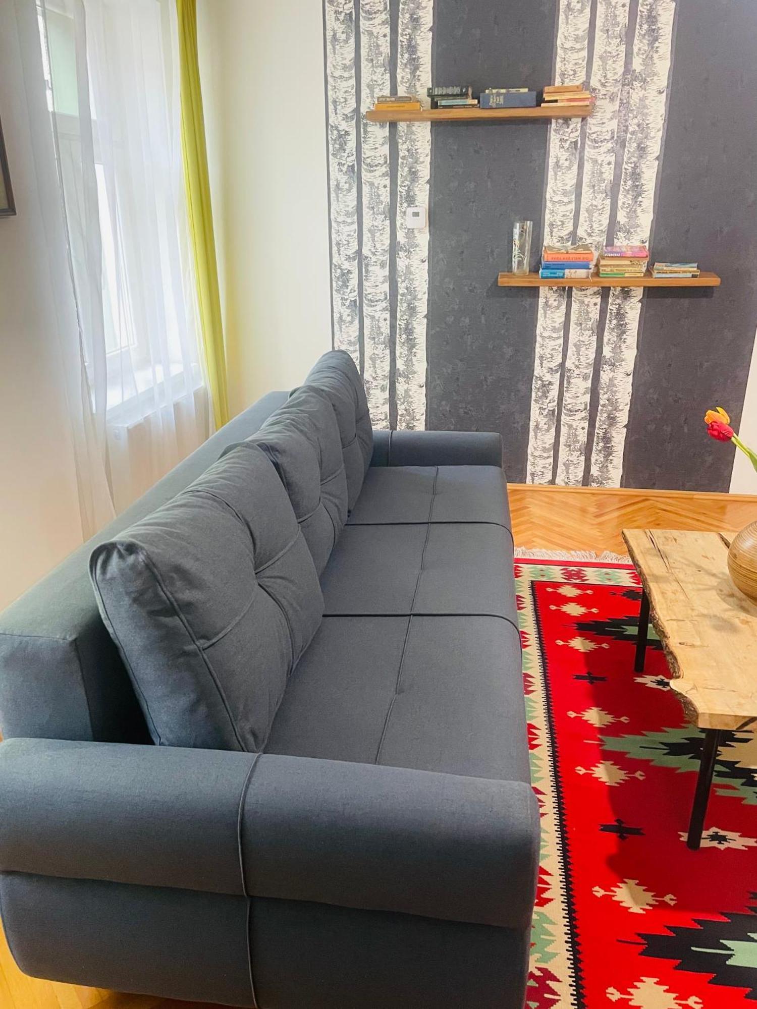 Spacious Stylish Apartment In Old Town Sibiu Eksteriør billede